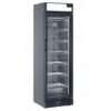 Fryseskap med glassdør 300 l CNG390CB – Cool Head