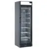Fryseskap med glassdør 300 l CNG390CB – Cool Head